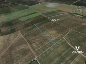 Prodej pole, Prušánky, 1303 m2