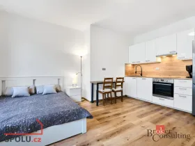 Pronájem bytu 1+kk, Brno - Trnitá, Špitálka, 30 m2