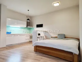 Pronájem bytu 1+kk, České Budějovice - České Budějovice 2, Volejbalistů, 42 m2