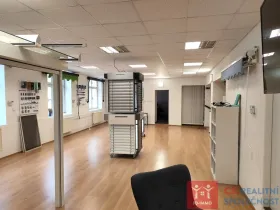 Prodej obchodního prostoru, Znojmo, Velká Michalská, 326 m2