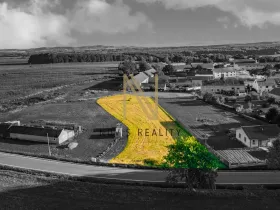 Prodej pozemku pro bydlení, Puclice, 3058 m2