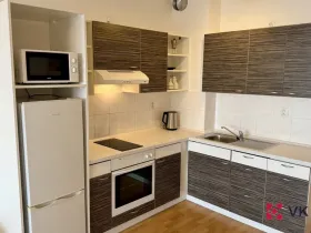 Pronájem bytu 1+kk, Praha - Řeporyje, Wiesenthalova, 38 m2