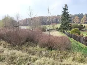 Prodej pozemku, Lázně Bělohrad, 1005 m2