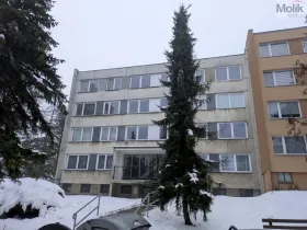 Pronájem bytu 1+kk, Bílina - Pražské Předměstí, Aléská, 28 m2