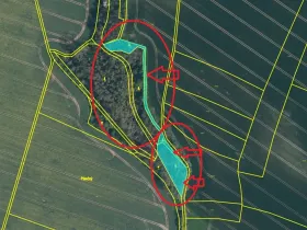 Prodej lesa, Mělnické Vtelno, 2736 m2