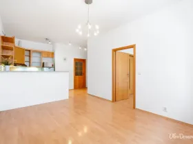 Prodej bytu 2+kk, Praha - Žižkov, Lukášova, 51 m2