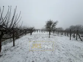 Prodej pozemku, Valtice - Úvaly, 1266 m2