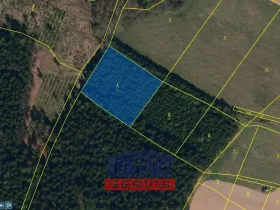 Prodej lesa, Otín, 4352 m2