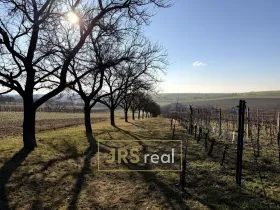 Prodej pozemku, Svatobořice-Mistřín, 3501 m2