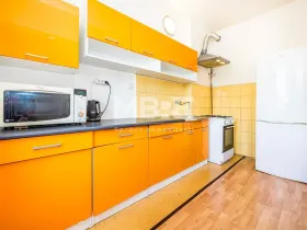 Pronájem bytu 2+kk, Ústí nad Labem - Střekov, Děčínská, 61 m2