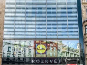 Pronájem obchodního prostoru, Brno - Brno-město, náměstí Svobody, 47 m2