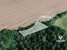 Prodej pole, Borek, 1565 m2