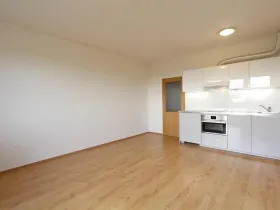 Pronájem bytu 1+kk, Brno, Bučkova, 27 m2
