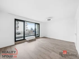 Pronájem bytu 1+kk, Plzeň - Jižní Předměstí, Železná, 43 m2