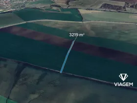 Prodej pole, Šumice, 3219 m2