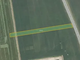 Prodej pole, Dub nad Moravou, 6158 m2