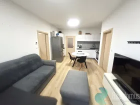 Pronájem bytu 3+kk, České Budějovice, Na Zlaté stoce, 77 m2