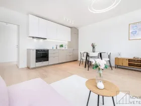Prodej bytu 2+kk, Praha - Žižkov, Biskupcova, 47 m2