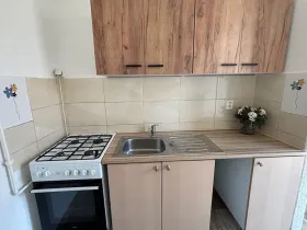 Pronájem bytu 1+1, Frýdek-Místek, Lískovecká, 32 m2