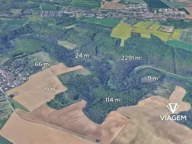 Prodej lesa, Radostice, 2524 m2