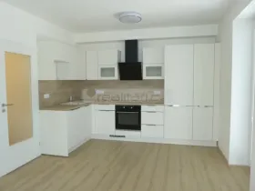 Pronájem bytu 3+kk, Plzeň, U Velkého rybníka, 87 m2