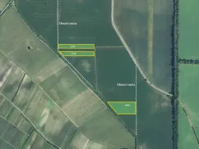Prodej pole, Dolní Dunajovice, 34740 m2