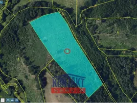Prodej lesa, Okrouhlice - Vadín, 13839 m2