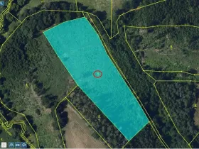 Prodej lesa, Okrouhlice - Vadín, 11240 m2