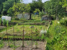 Prodej zahrady, Beroun, 387 m2