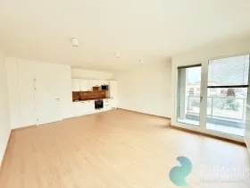 Pronájem bytu 2+kk, České Budějovice, Hálkova, 45 m2