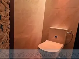 Pronájem bytu 2+kk, Praha - Vysočany, Za Klíčovem, 28 m2