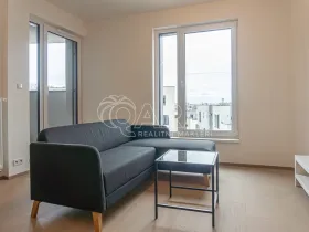 Pronájem bytu 2+kk, Praha - Žižkov, Olgy Havlové, 52 m2