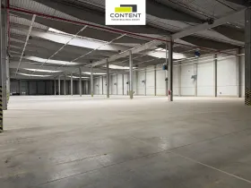 Pronájem výrobních prostor, Bor - Nová Hospoda, 6928 m2