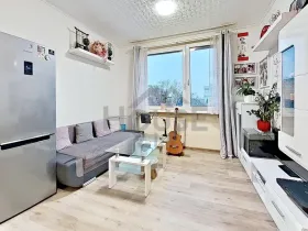 Prodej bytu 3+kk, Praha - Kamýk, Cholupická, 45 m2