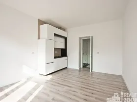 Pronájem bytu 1+kk, Praha - Žižkov, Bořivojova, 31 m2