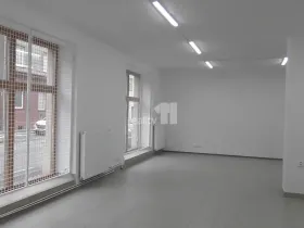 Pronájem obchodního prostoru, Ostrava - Mariánské Hory, Přemyslovců, 110 m2