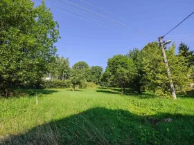 Prodej pozemku pro bydlení, Zlatá Olešnice, 4188 m2