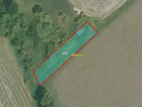 Prodej louky, Hrubý Jeseník, 519 m2