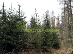 Prodej lesa, Konice, 3343 m2