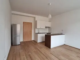 Pronájem bytu 3+kk, Praha - Břevnov, Bělohorská, 75 m2