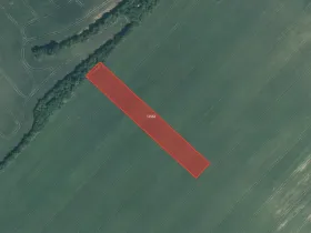 Prodej podílu pole, Mutěnice, 2000 m2