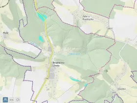 Prodej lesa, Bradlecká Lhota, 36126 m2