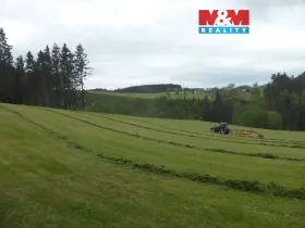 Prodej lesa, Vysoká Srbská, 26095 m2