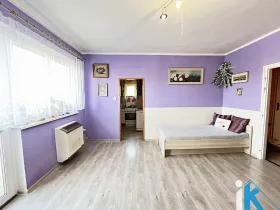 Prodej bytu 1+1, Prostějov, Raisova, 31 m2