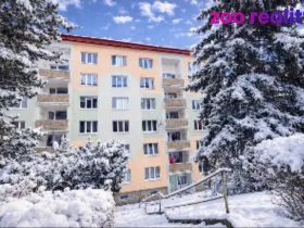 Prodej bytu 1+1, Chomutov, Zahradní, 35 m2