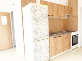 Prodej bytu 2+1, Ústí nad Labem - Mojžíř, Jindřicha Plachty, 62 m2