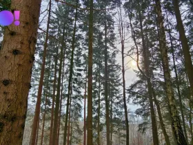 Prodej pozemku, Liptál, 17190 m2