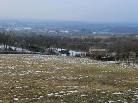 Prodej zahrady, Mikulov, Nová, 2627 m2