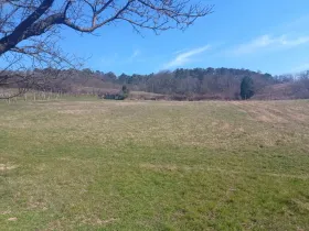 Prodej zahrady, Mikulov, Nová, 2627 m2