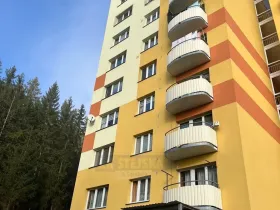 Prodej bytu 3+1, Loučovice, 69 m2